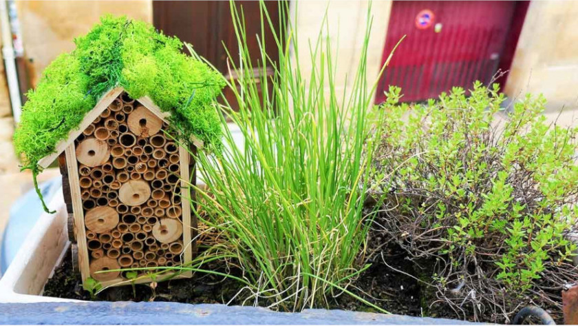DIY: Insect house