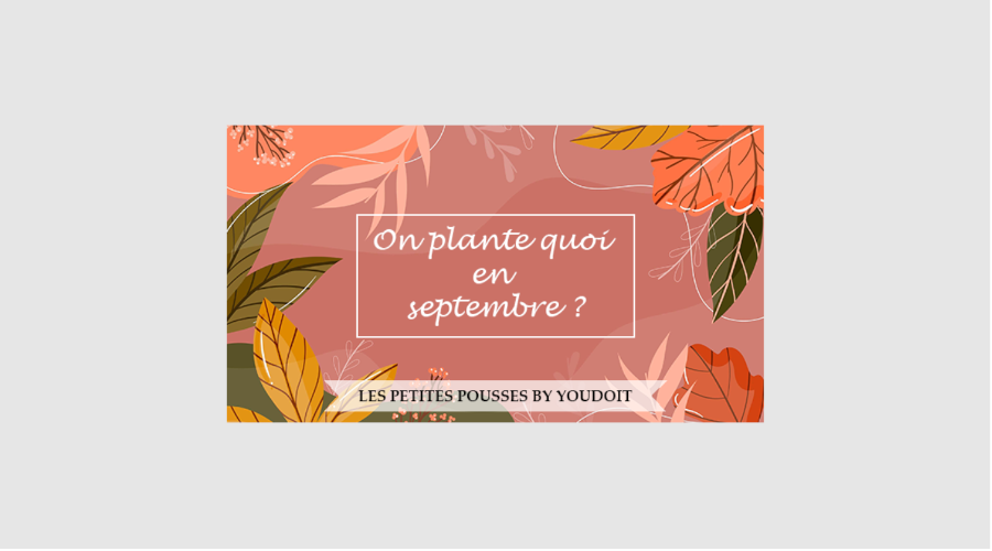Les Petites Pousses: What are we sowing in September?