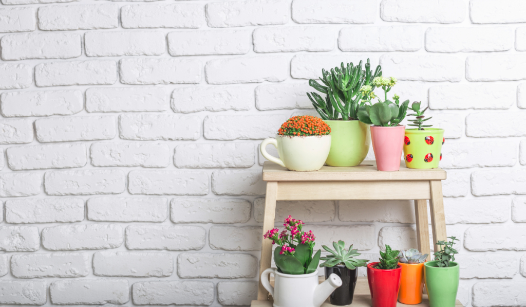 DIY Jardin : pots de fleurs colorés