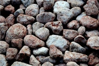 Fossils