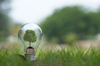 Nuestros productos ecológicos
