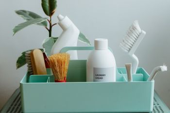 Ingredientes para los productos de limpieza
