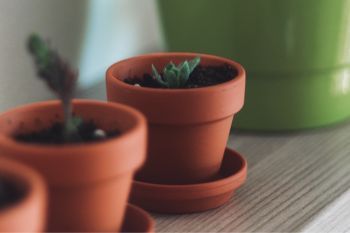 Cache-pot