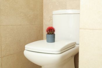 Sedile del WC