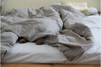 Duvet covers